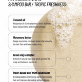 Rainforest Hair Duo | Shampoo Bar & Conditioner Bar